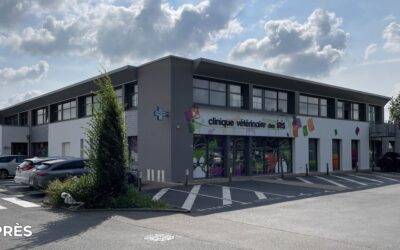 Nettoyage et ravalement de façade à Machecoul 44270