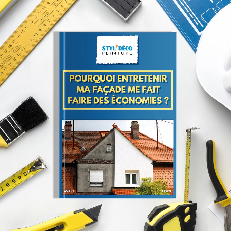 Présentation du livre bleu nettoyage et ravalement de façade : Pourquoi entretenir ma façade me fait faire des économies ?